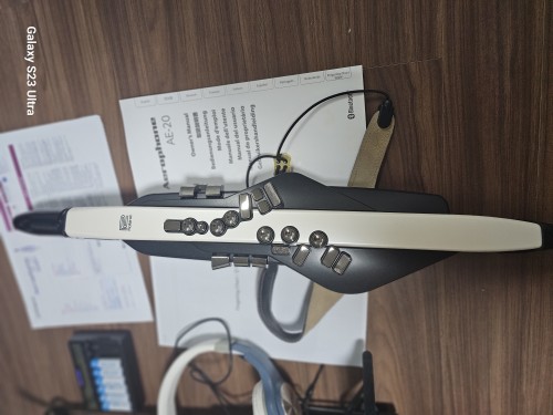 AE20롤랜드자색소폰